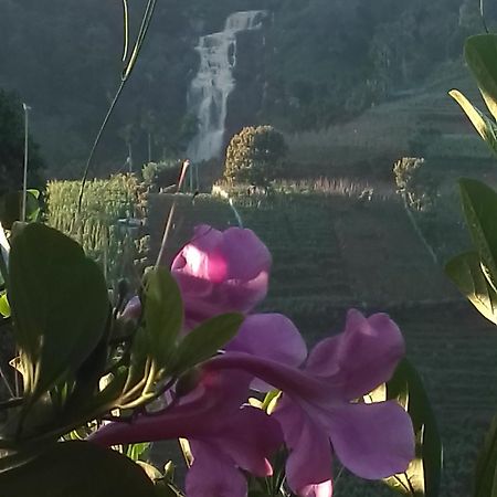 Cascade Vally Ella Bagian luar foto