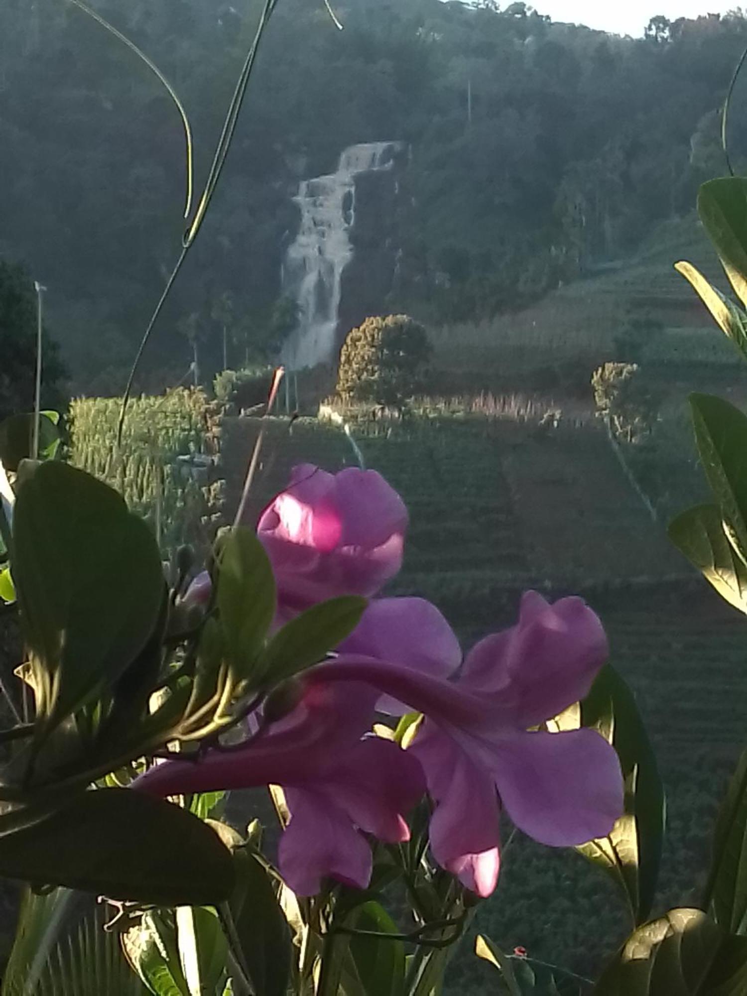 Cascade Vally Ella Bagian luar foto